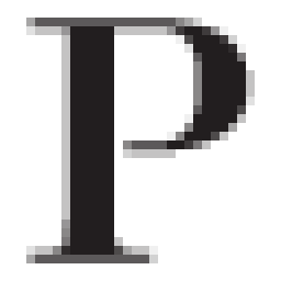puentenetsvip.com favicon